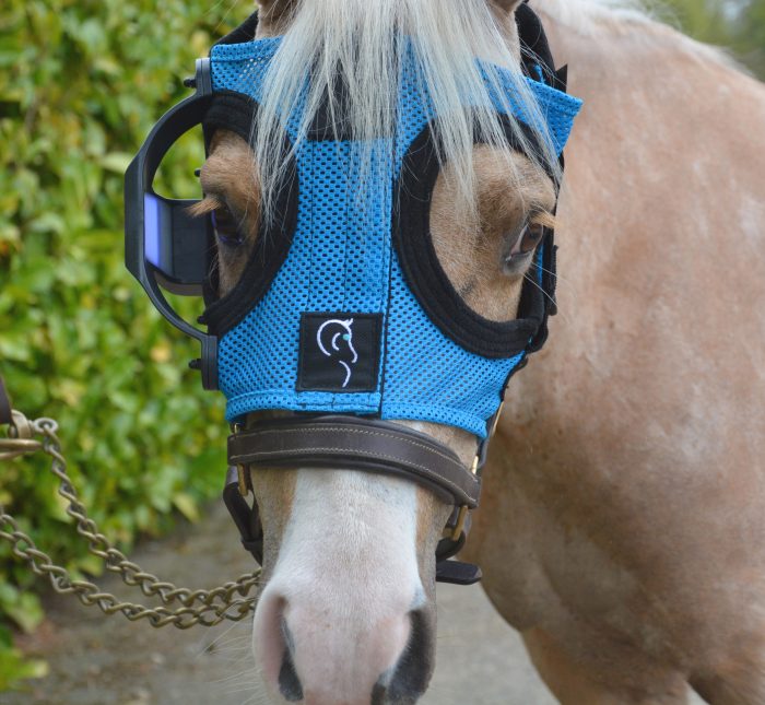 Blue Pony Mask