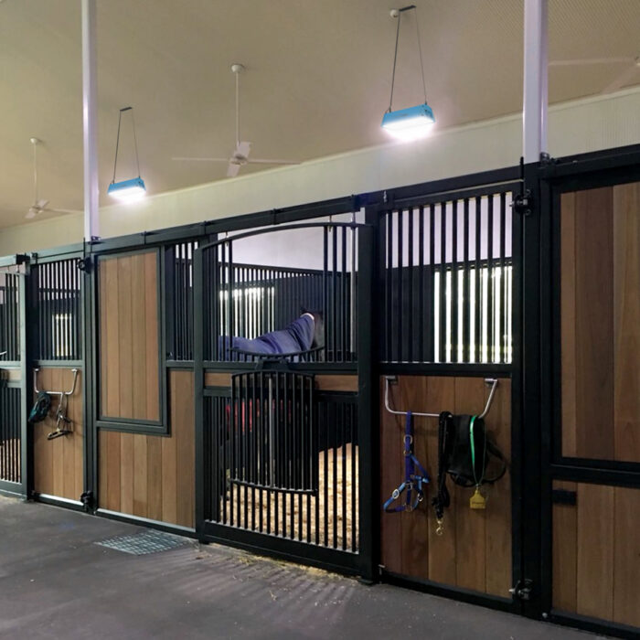 Equilume Stable Light V3