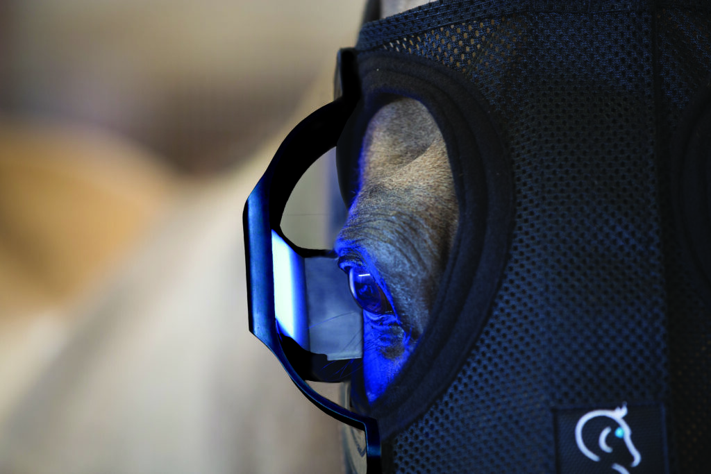 Close up image of the Equilume Light Mask cup, showing the inside of the cup and a front on shot of the horses head. The blue light from the light mask cup creates a blue glow on the horses eye.