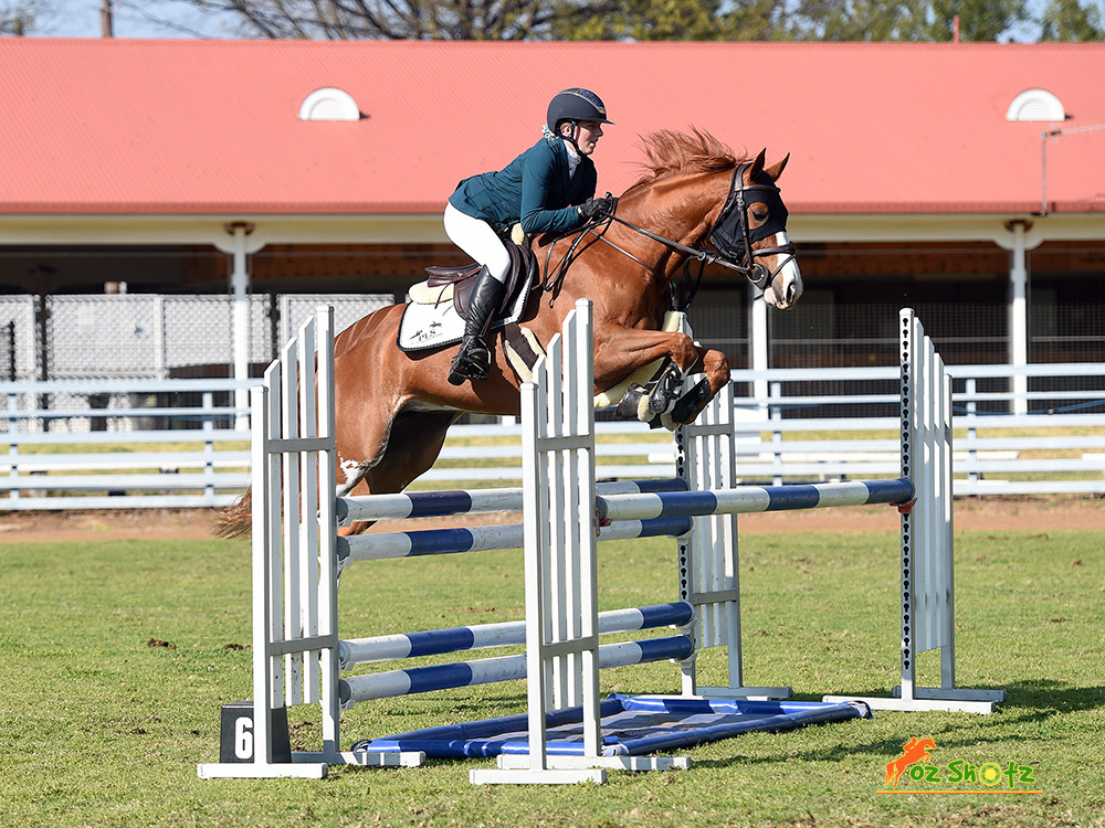 Paton Simpson jumping a chestnut horse over a blue and white oxer.