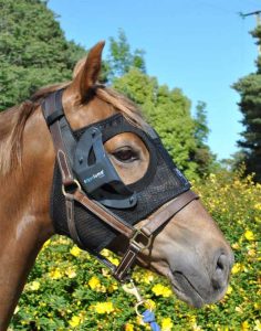 Cashel Light Mask