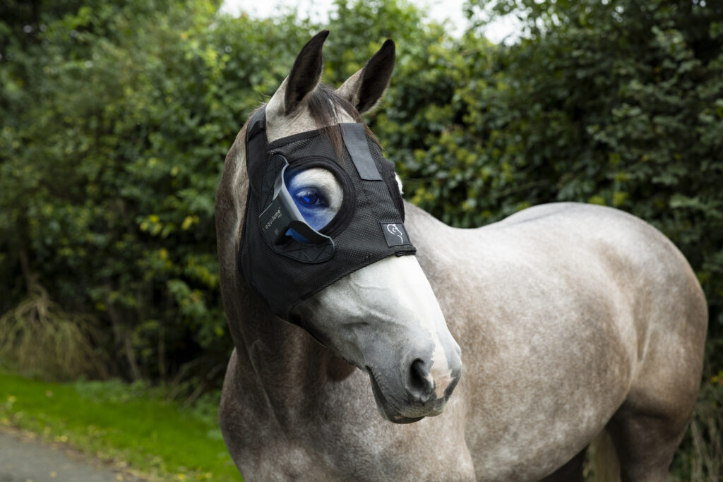 Grey horse wearing an Equilume Pro Light Mask. The horse is standing in front of a green tree background.