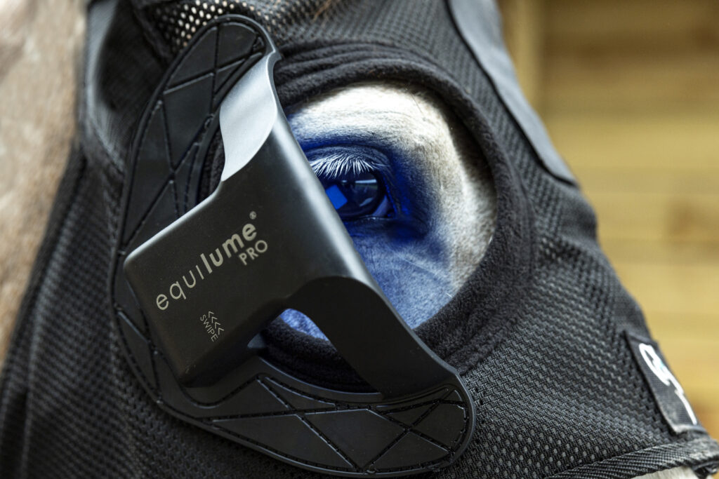 Close up shot of the Equilume Pro Light Mask cup. The cup of the light mask shows the details listed on the cup including the logo. The horse wearing the Light Mask is grey.