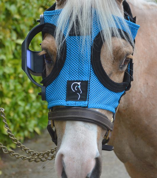 Equilume Cashel Pony Light Mask, worn on a cute palomino pony.