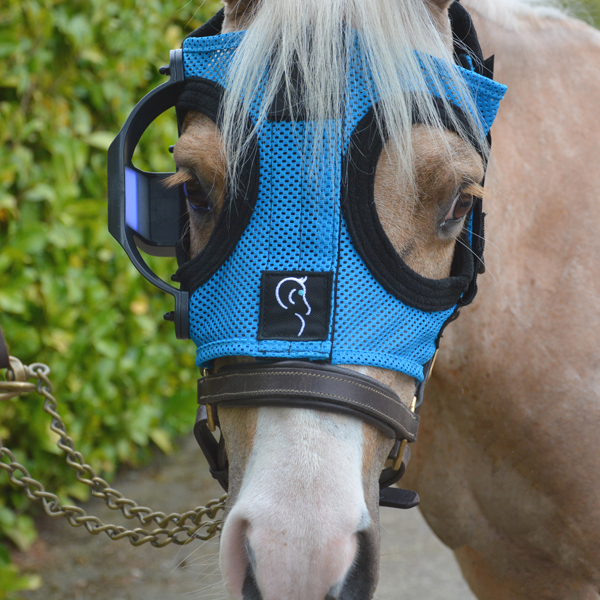 Equilume Cashel Pony Light Mask, worn on a cute palomino pony.