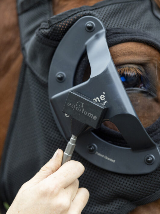 Equilume Smart Key being used to turn on an Equilume Light Mask on a chestnut horse. The smart key lays flat against the cup on the light mask to be waved back and forth to turn on the light mask.
