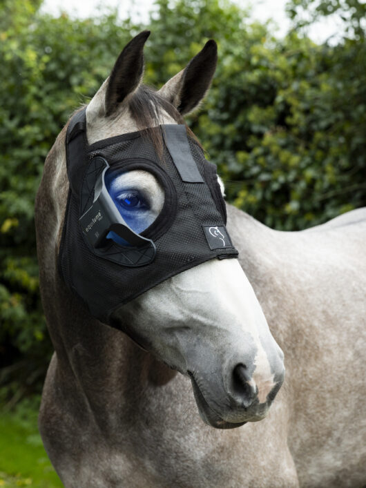 Grey horse wearing an Equilume Pro Light Mask. The horse is standing in front of a green tree background.