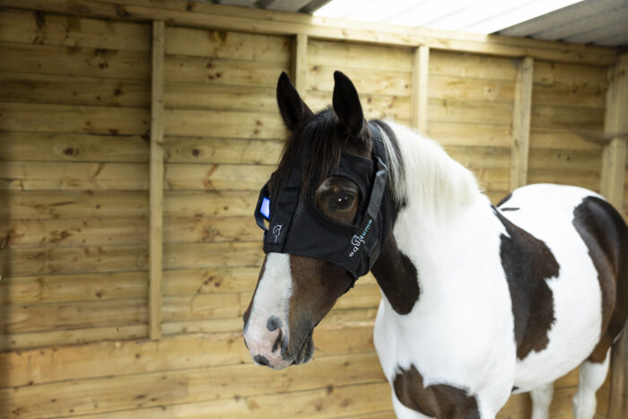 Skewbald coloured horse wearing the Equilume Pro Light Mask. The horse is in a timber stable.