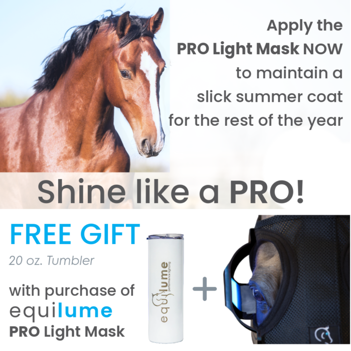 Equilume Pro Light Mask - Image 4