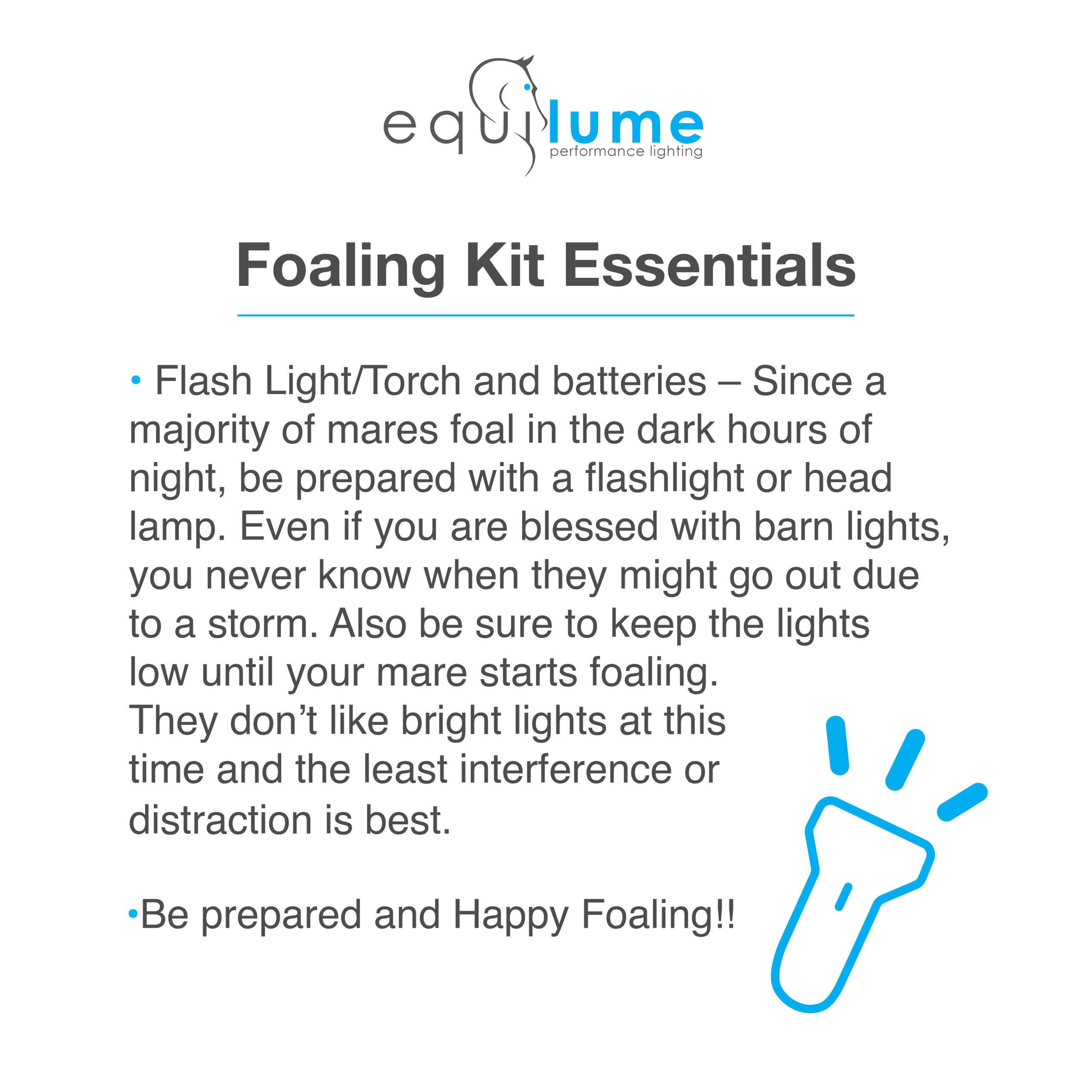 Equilume | Foaling Kit Essentials - Equilume