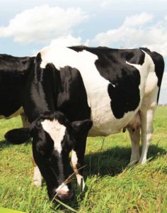 Equilume Expands into Agricultural Sector