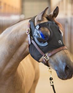 equilume light mask