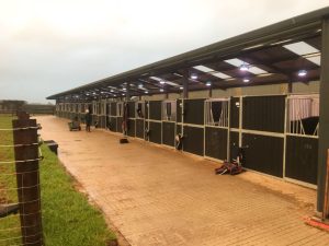 Equilume Stable Light