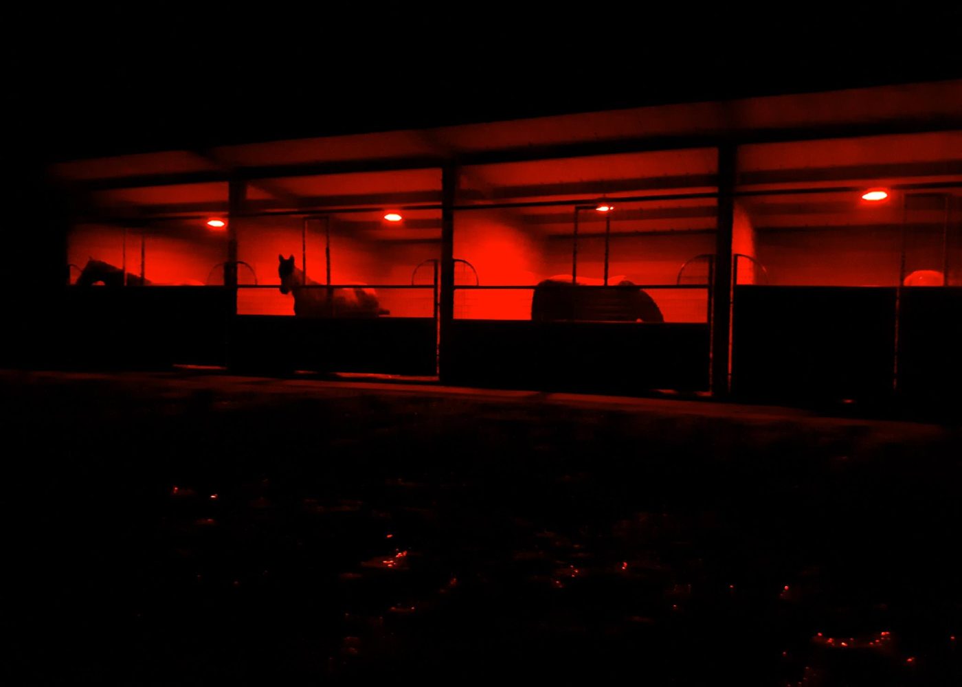 Stable Light