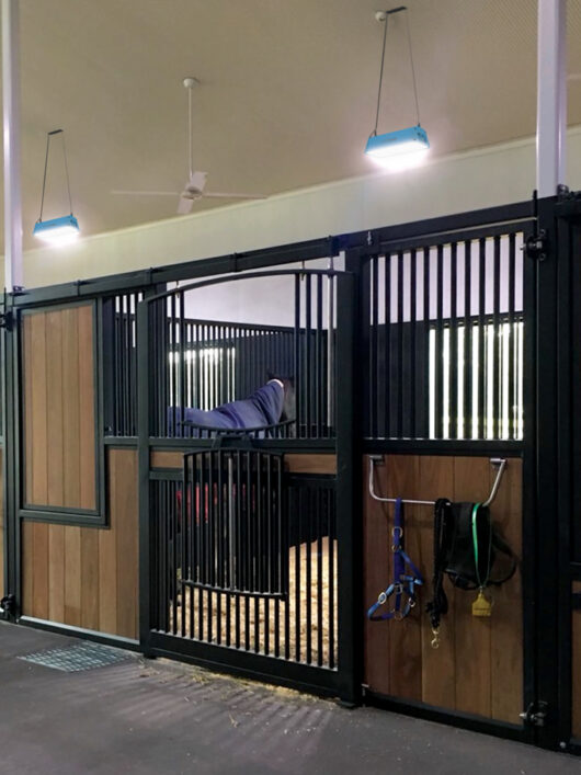 Equilume Stable Light V3