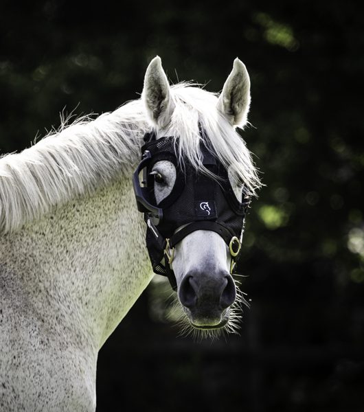 Equilume Curragh Light Mask