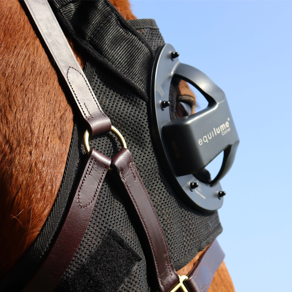 Equilume Cashel Pony - Cup Replacement - Image 5