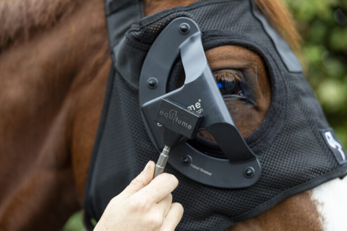Equilume Smart Key being used to turn on an Equilume Light Mask on a chestnut horse. The smart key lays flat against the cup on the light mask to be waved back and forth to turn on the light mask.