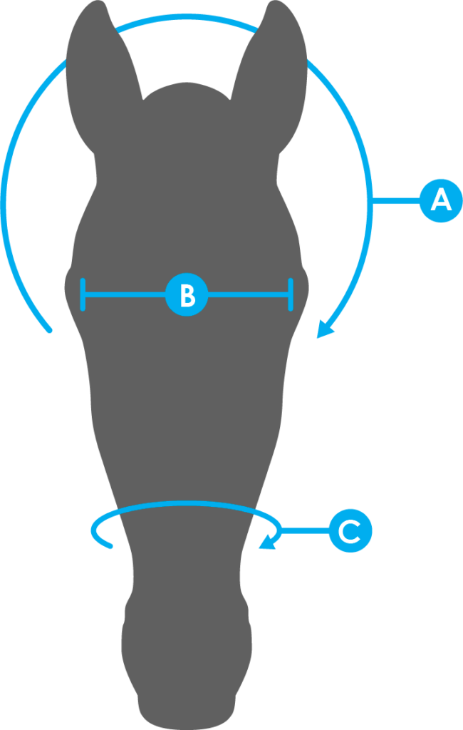 Graphic of a grey horse head shape with size markers around the ears, eyes and muzzle to show where to measure on your horse.